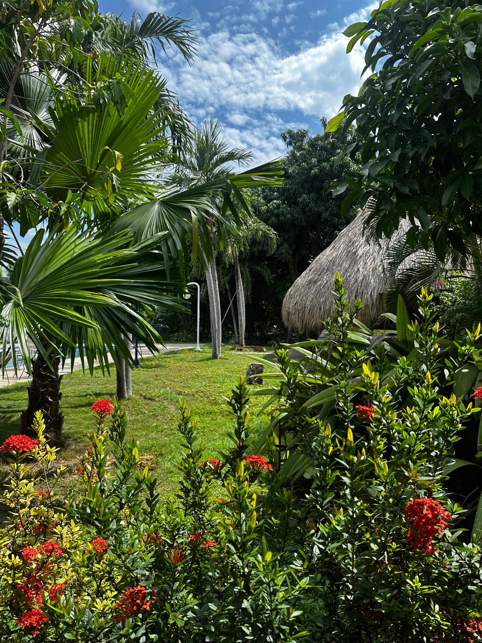 FINCA FLANDES (3)